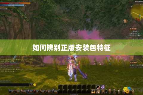 如何辨别正版安装包特征