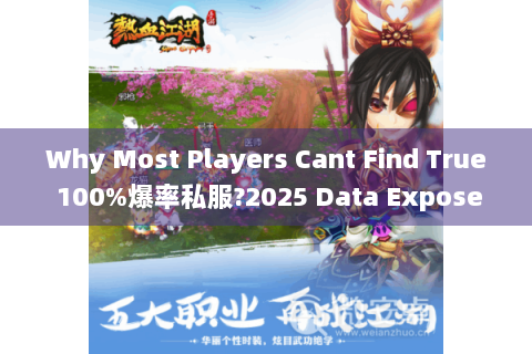 Why Most Players Cant Find True 100%爆率私服?2025 Data Exposes Hidden Selection Thresholds