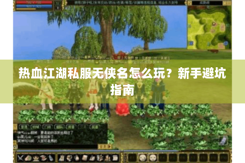 热血江湖私服无侠名怎么玩？新手避坑指南