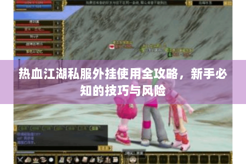 热血江湖私服外挂使用全攻略，新手必知的技巧与风险