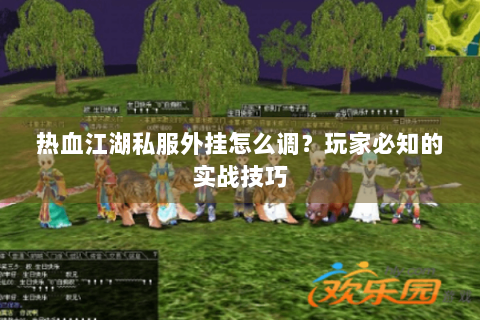 热血江湖私服外挂怎么调？玩家必知的实战技巧
