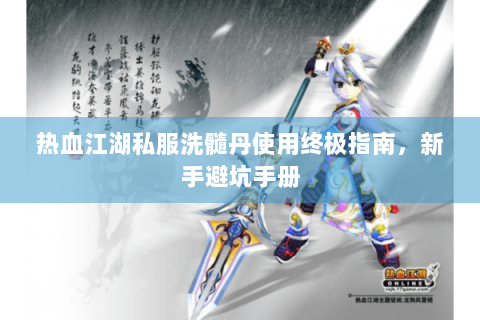 热血江湖私服洗髓丹使用终极指南，新手避坑手册