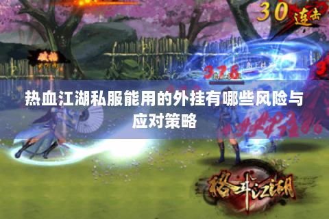 热血江湖私服能用的外挂有哪些风险与应对策略