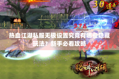 热血江湖私服无极设置究竟有哪些隐藏玩法？新手必看攻略