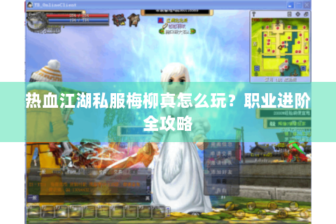 热血江湖私服梅柳真怎么玩？职业进阶全攻略