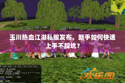 玉川热血江湖私服发布，新手如何快速上手不踩坑？