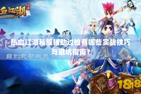 热血江湖私服辅助过检有哪些实战技巧与避坑指南？