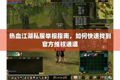 热血江湖私服举报指南，如何快速找到官方维权通道
