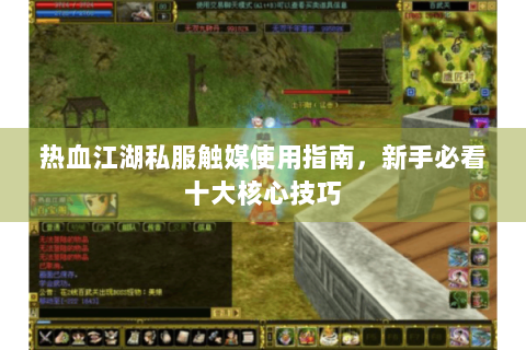 热血江湖私服触媒使用指南，新手必看十大核心技巧