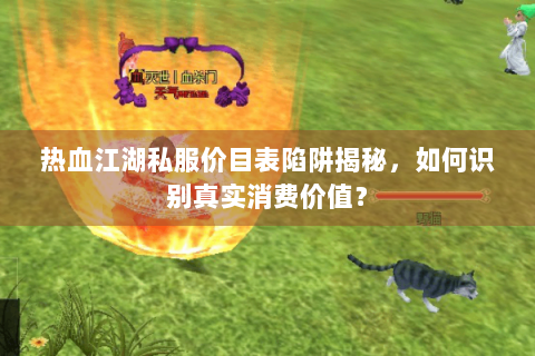 热血江湖私服价目表陷阱揭秘，如何识别真实消费价值？