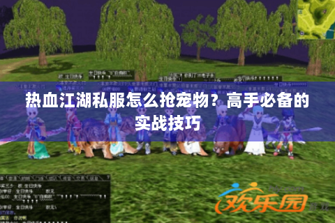 热血江湖私服怎么抢宠物？高手必备的实战技巧