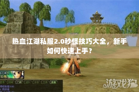热血江湖私服2.0秒怪技巧大全，新手如何快速上手？