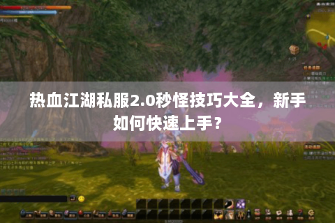 热血江湖私服2.0秒怪技巧大全，新手如何快速上手？