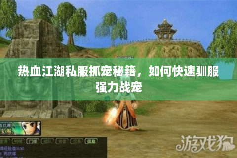热血江湖私服抓宠秘籍，如何快速驯服强力战宠