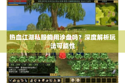 热血江湖私服能用沙盘吗？深度解析玩法可能性