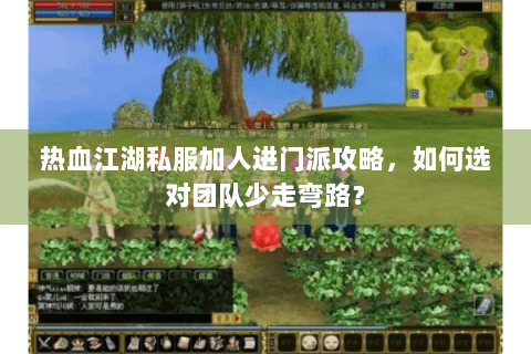 热血江湖私服加人进门派攻略，如何选对团队少走弯路？