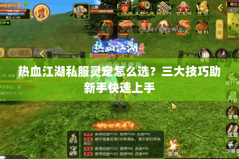 热血江湖私服灵宠怎么选？三大技巧助新手快速上手