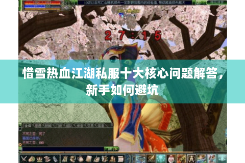 惜雪热血江湖私服十大核心问题解答，新手如何避坑