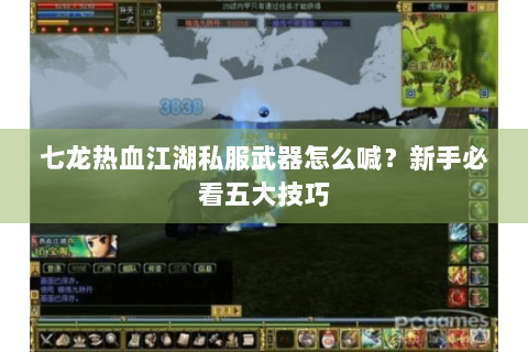 七龙热血江湖私服武器怎么喊？新手必看五大技巧