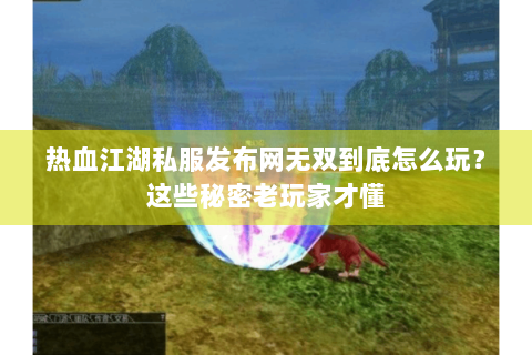 热血江湖私服发布网无双到底怎么玩？这些秘密老玩家才懂