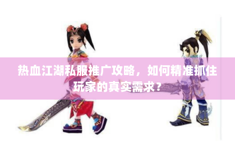 热血江湖私服推广攻略，如何精准抓住玩家的真实需求？