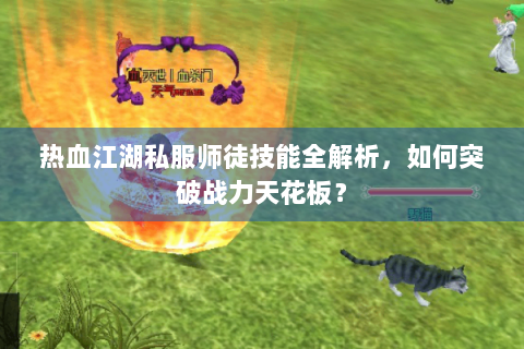 热血江湖私服师徒技能全解析，如何突破战力天花板？