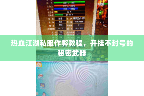 热血江湖私服作弊教程，开挂不封号的秘密武器