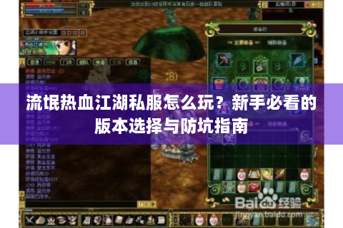 流氓热血江湖私服怎么玩？新手必看的版本选择与防坑指南