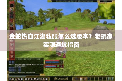 金蛇热血江湖私服怎么选版本？老玩家实测避坑指南