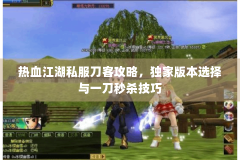 热血江湖私服刀客攻略，独家版本选择与一刀秒杀技巧