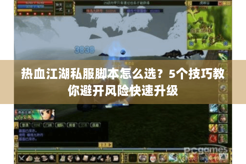 热血江湖私服脚本怎么选？5个技巧教你避开风险快速升级