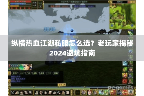 纵横热血江湖私服怎么选？老玩家揭秘2024避坑指南