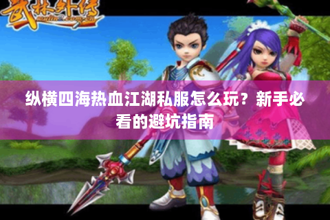 纵横四海热血江湖私服怎么玩？新手必看的避坑指南