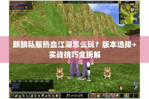 麒麟私服热血江湖怎么玩？版本选择+实战技巧全拆解