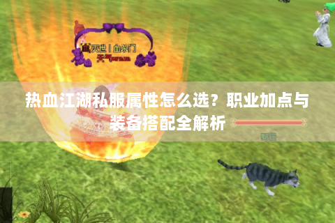 热血江湖私服属性怎么选？职业加点与装备搭配全解析