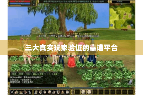 三大真实玩家验证的靠谱平台